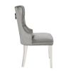 Erica 2 Piece Stainless Steel Legs Chair Finish with Velvet Fabric in Light Gray