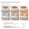 Bohemian style LED Dimmable Ceiling Light With Built-In Fan - Remote Control